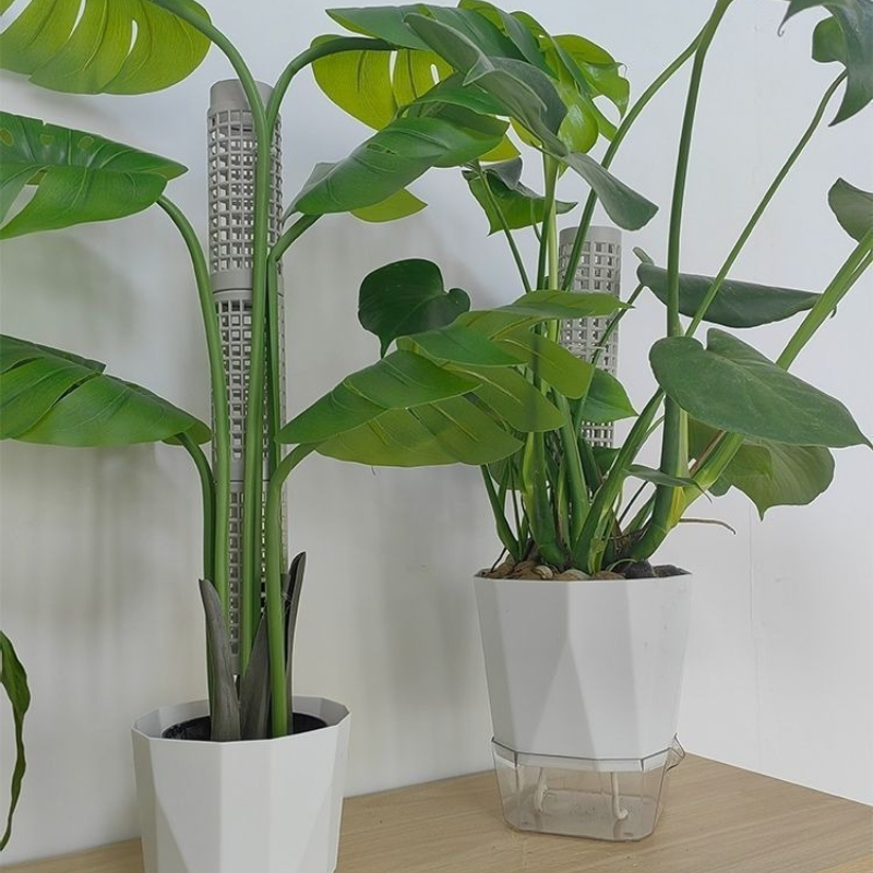 เสาพลาสติกสำหรับปลูกมอส 3 ชิ้น - Tree Stand Ladder บทวิจารณ์และราคา