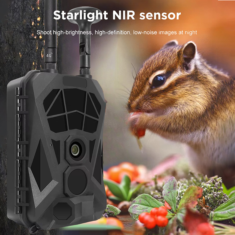 กล้องเส้นทาง 4G GPS ไร้สายอินฟ - Outdoor Hunting Camera Wireless บทวิจารณ์และราคา