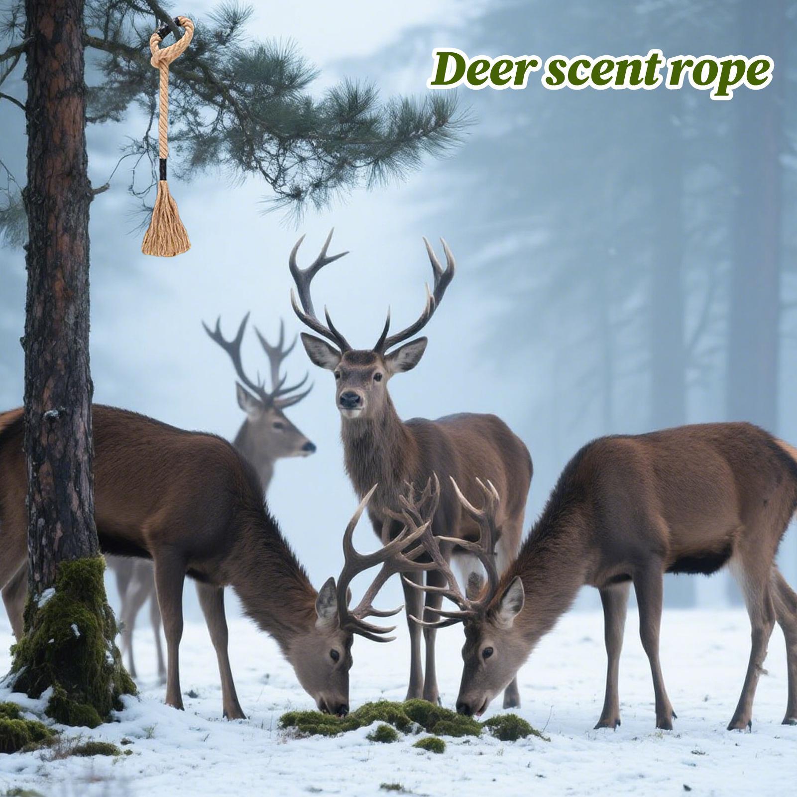 น้ำหอมดึงดูดสัตว์ป่าชนิดขี้ผึ้ - Deer Attractant Scent บทวิจารณ์และราคา