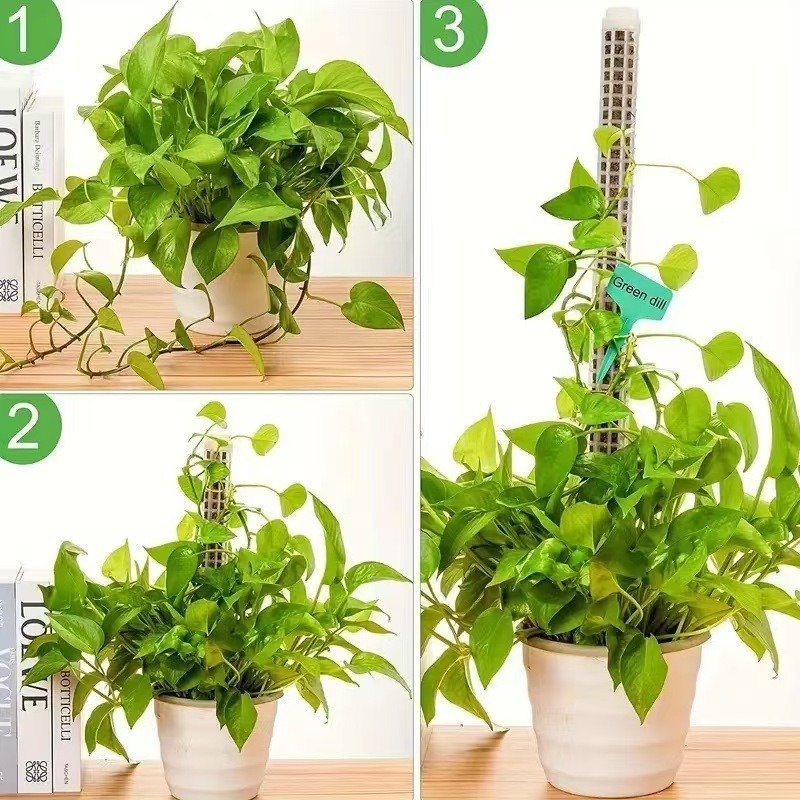 เสาไม้เลื้อยแบบรดน้ำเองได้ 1/2 - Tree Stand Ladder บทวิจารณ์และราคา