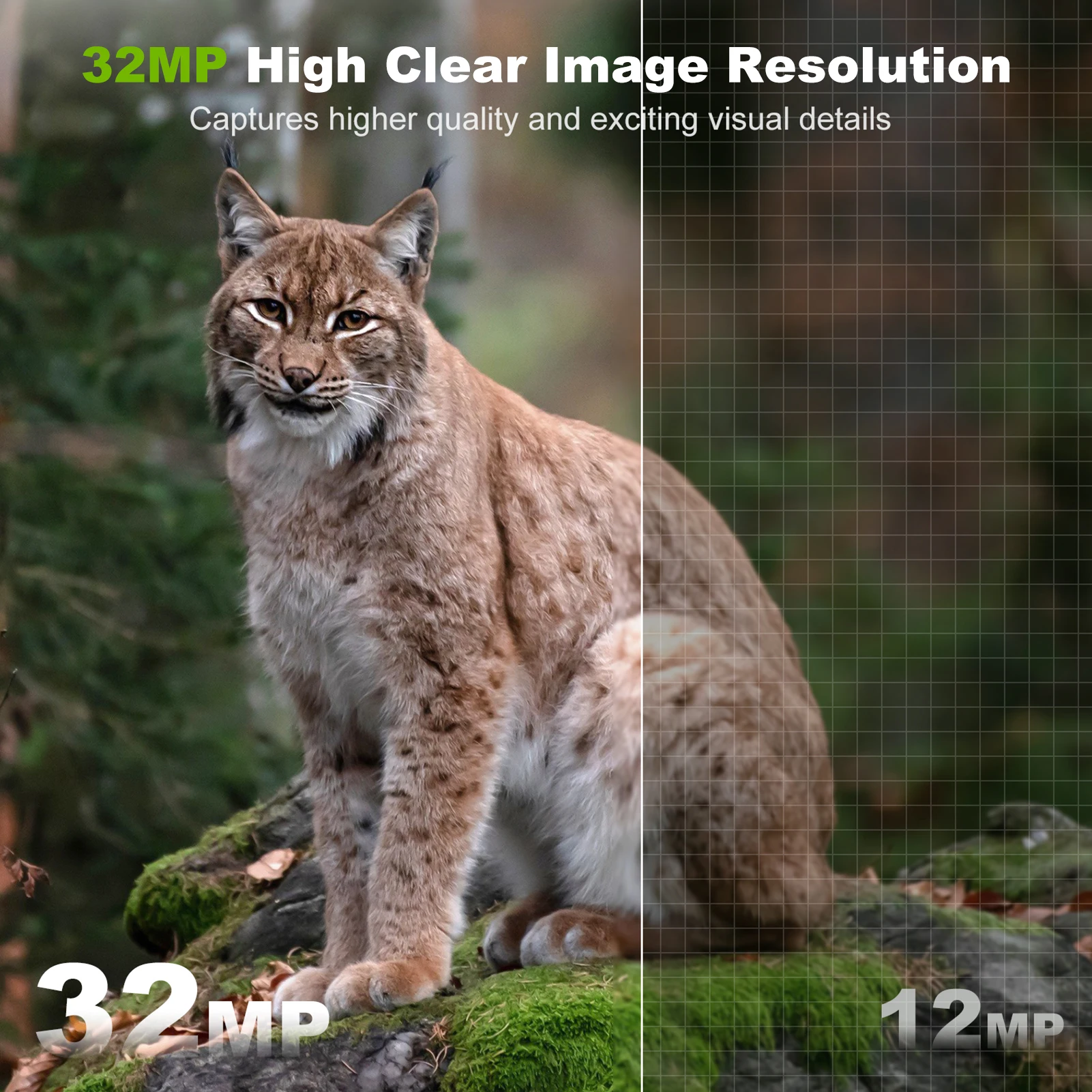 พลังงานแสงอาทิตย์กล้องกลางแจ้ง - Outdoor Hunting Camera Wireless บทวิจารณ์และราคา